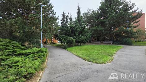 foto02_11554179_nnuz4.jpg