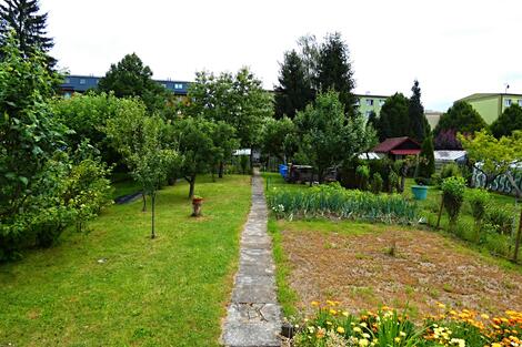 foto02_11519891_13g3do.jpg