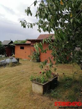 foto02_11466667_1nf20o.jpg