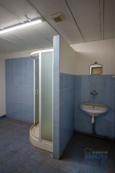 foto02_11436816_h70q0.jpg