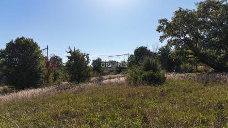 foto02_11383688_hnywo.jpg