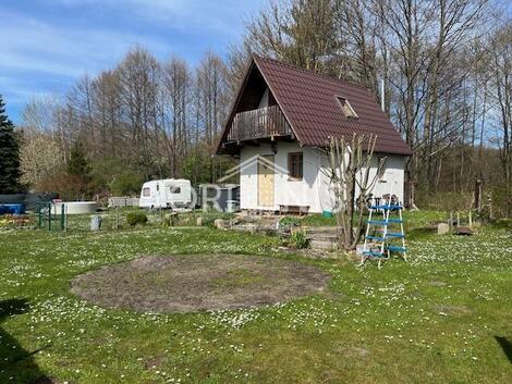 foto02_11487635_aepfg.jpg
