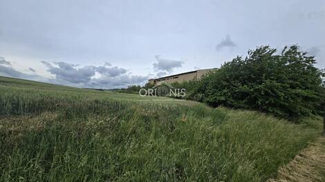 foto02_11511073_16rdo4.jpg