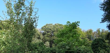 foto02_11540423_xesdw.jpg