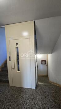 foto02_11561249_1hnin8.jpg