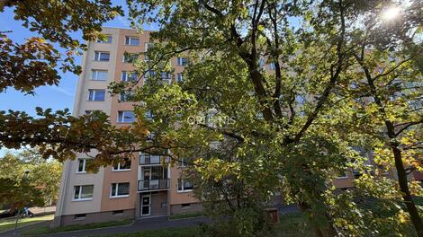 foto02_11565865_8hsc.jpg