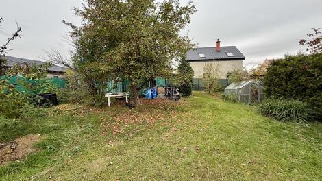 foto02_11572645_17lh5o.jpg