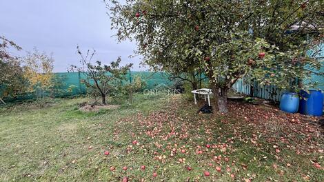 foto02_11572645_bfdq0.jpg