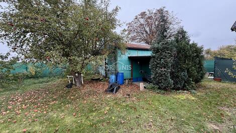 foto02_11572645_hhoio.jpg