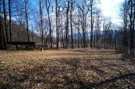 foto02_11470754_laors.jpg