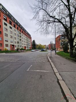 foto02_11482791_b7hgo.jpg