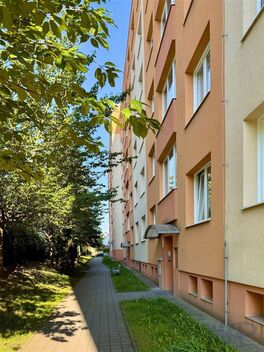 foto02_11514757_sdvi0.jpg