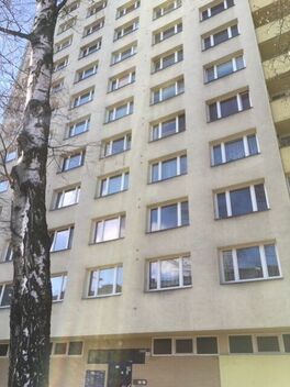 foto02_11546724_1hxbf8.jpg