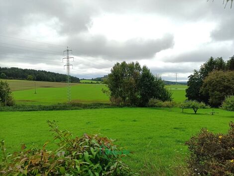 foto02_11482796_581g0.jpg