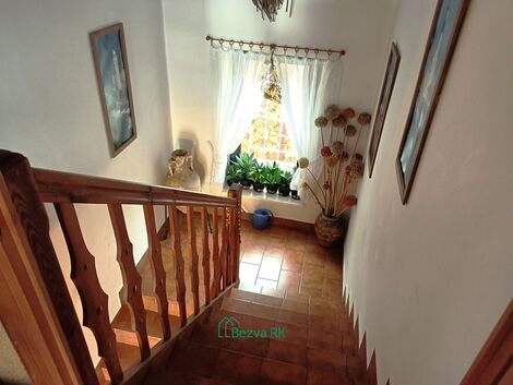 foto02_11482796_ni5ng.jpg