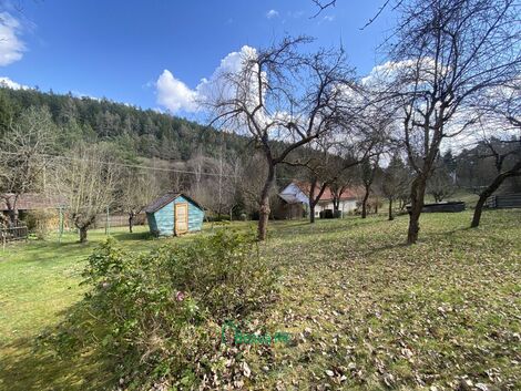 foto02_11489557_lr5o8.jpg