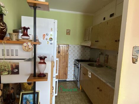 foto02_11497195_1bspws.jpg