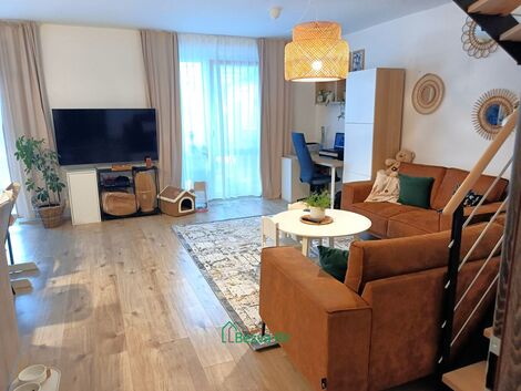 foto02_11521773_ey6x8.jpg