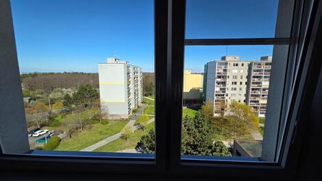foto02_11479346_1k6vgg.jpg