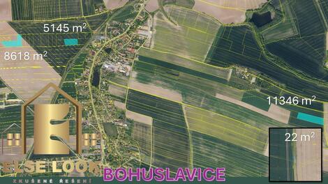 foto02_11345525_1ebyeg.jpg