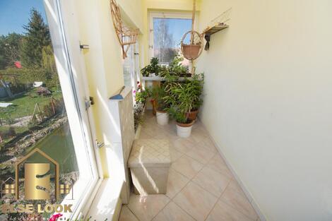 foto02_11364889_16jdmo.jpg