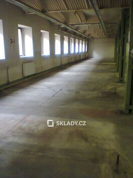 foto02_11278878_bnguk.jpg
