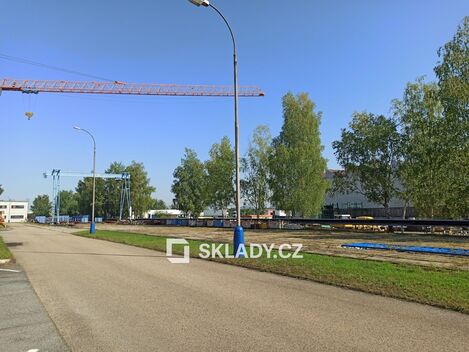 foto02_11476379_15fdtc.jpg