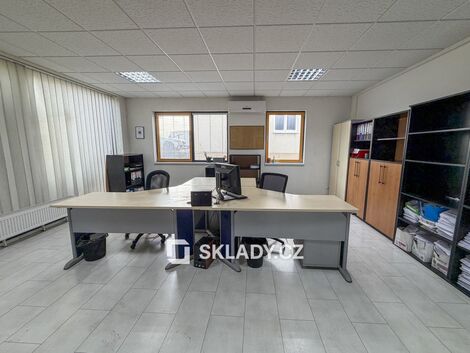 foto02_11483494_kumx0.jpg