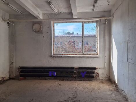 foto02_11457326_zwlc.jpg