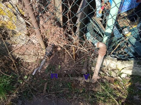 foto02_11464739_1mgrdg.jpg