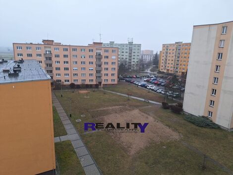 foto02_11476384_1icl9o.jpg