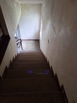 foto02_11482262_zitvw.jpg