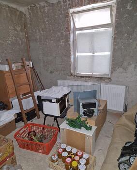 foto02_11338320_ksoxk.jpg