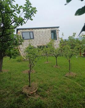 foto02_11380936_bpw1g.jpg