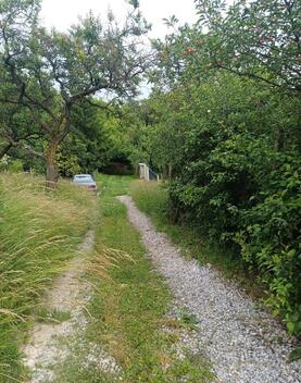 foto02_11380936_gjhks.jpg