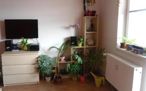 foto02_11484116_1juuqo.jpg