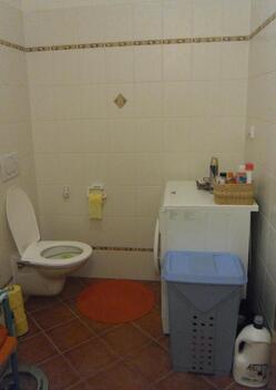 foto02_11484116_vjtfg.jpg