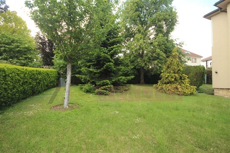 foto04_11496309_jd5oo.jpg