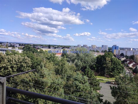 foto04_11358696_19m9ok.jpg