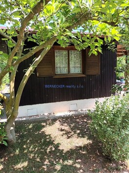 foto04_11517995_1bxnos.jpg