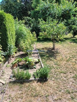 foto04_11517995_31cf4.jpg