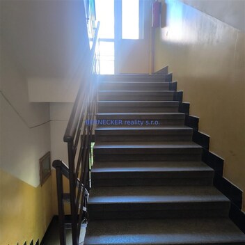 foto04_11521314_1hlxbc.jpg