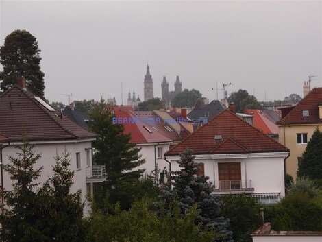 foto04_11545969_b0uhw.jpg