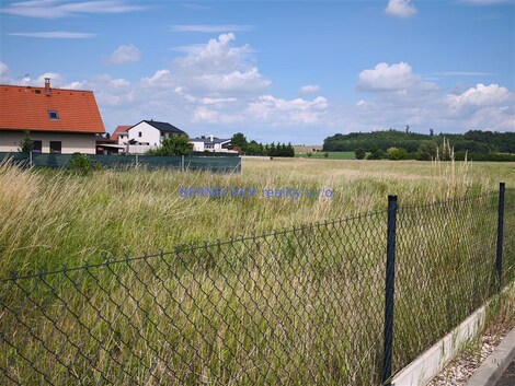 foto04_11546434_1mvimg.jpg