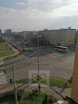 foto05_11484444_7ptoe.jpg