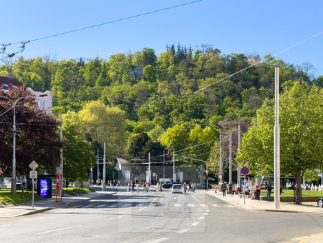 foto05_11490393_2kvii.jpg