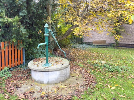 foto05_11493967_7j7dc.jpg