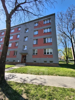 foto05_11497028_2iqka.jpg