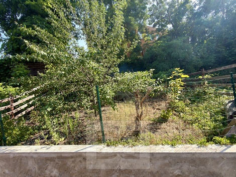 foto05_11521696_1osuu.jpg