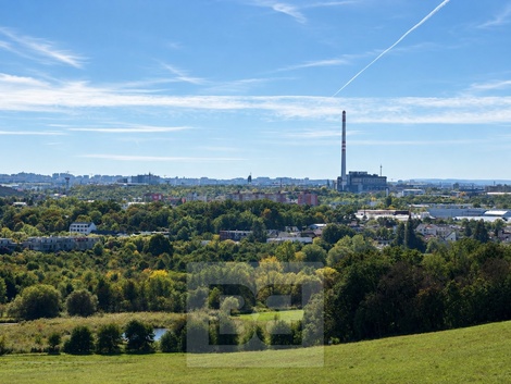 foto05_11557634_1dp0.jpg